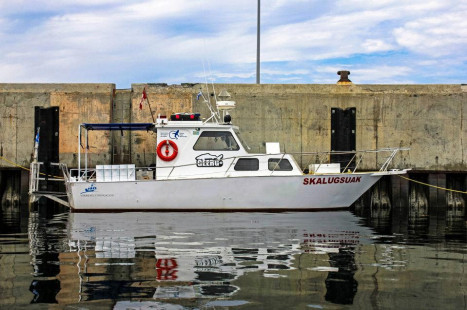 Skalugsuak at the Verreault Navigation shipyard in 2013 — Le Skalugsuak au chantier maritime de Verreault Navigation en 2013 — Photo © Jeffrey Gallant | GEERG