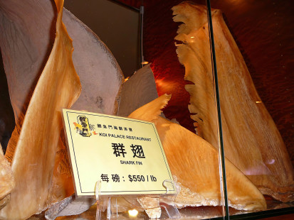 Shark fins selling for $550 USD per pound ($1,213 per kg) at a restaurant in California in 2007. Photo by alasam (CC BY-NC-ND 2.0)